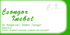 csongor knebel business card